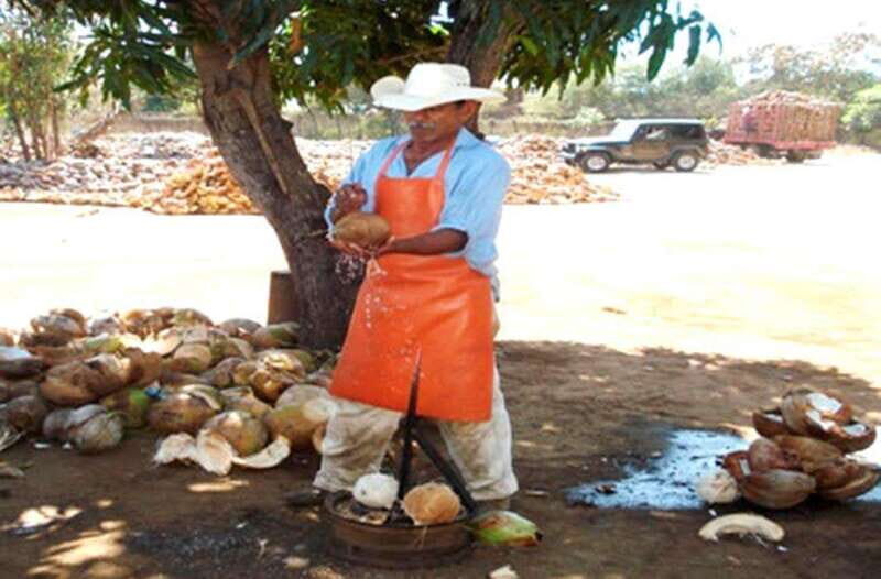 Zihuatanejo Ixtapa: Countryside Tour - The Sum Up