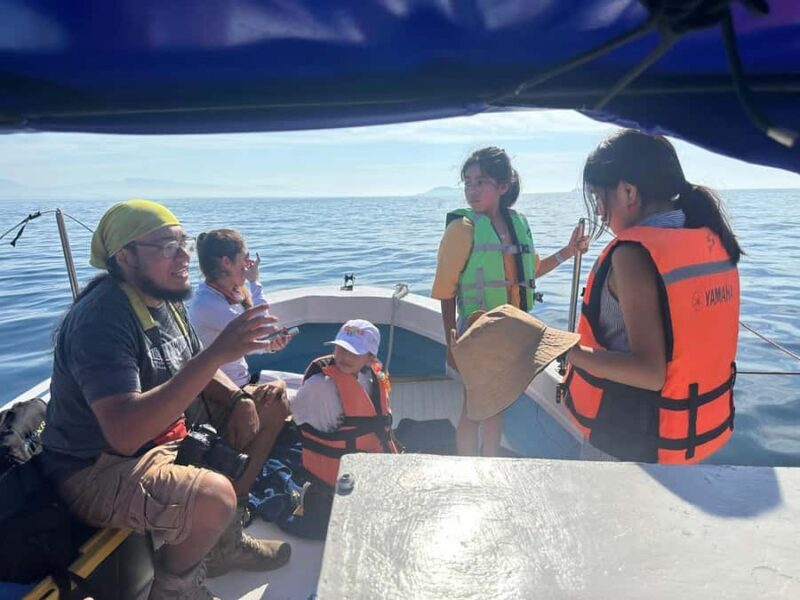 Zihuatanejo Ixtapa Humpback Whale Watching - Key Points