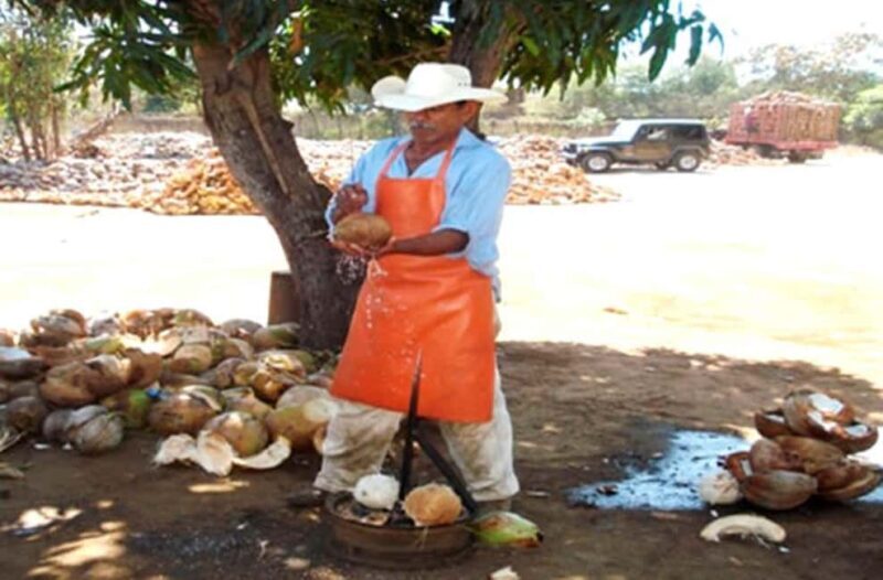 Zihuatanejo Ixtapa: Super Combo Tour - The Sum Up: Who Is This Tour For?