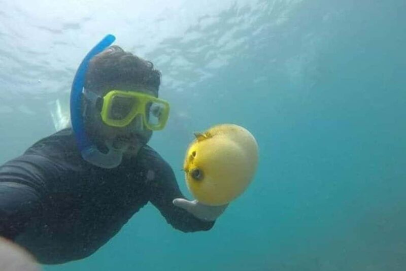 Zihuatanejo: Las Gatas Beach Snorkeling and Kayaking Tour - Relaxation in Tropical Paradise