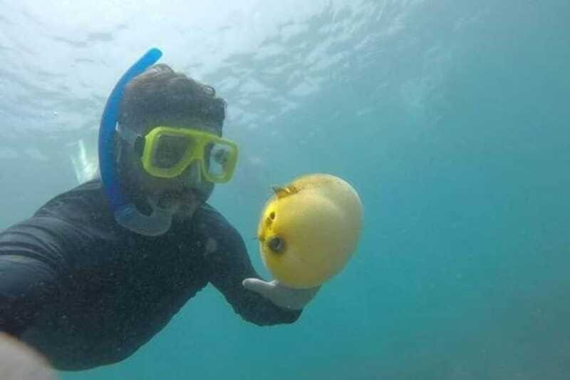 Zihuatanejo: Las Gatas Beach Snorkeling and Kayaking Tour - Practical Details and What’s Included