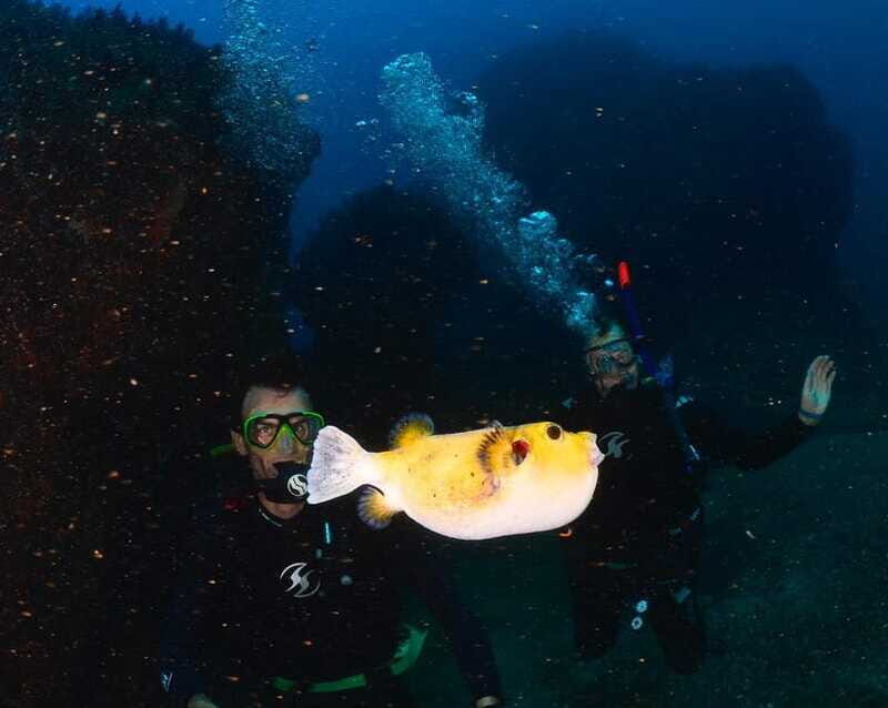 Zihuatanejo: Moonlit Dive at Las Gatas - What Past Travelers Say