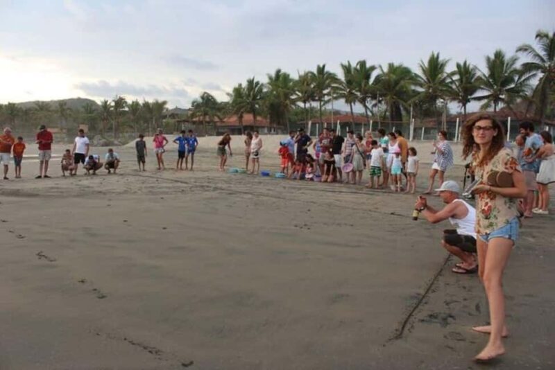 Zihuatanejo: Troncones,Manzanillo Bayband Majahua Beach Tour - FAQ