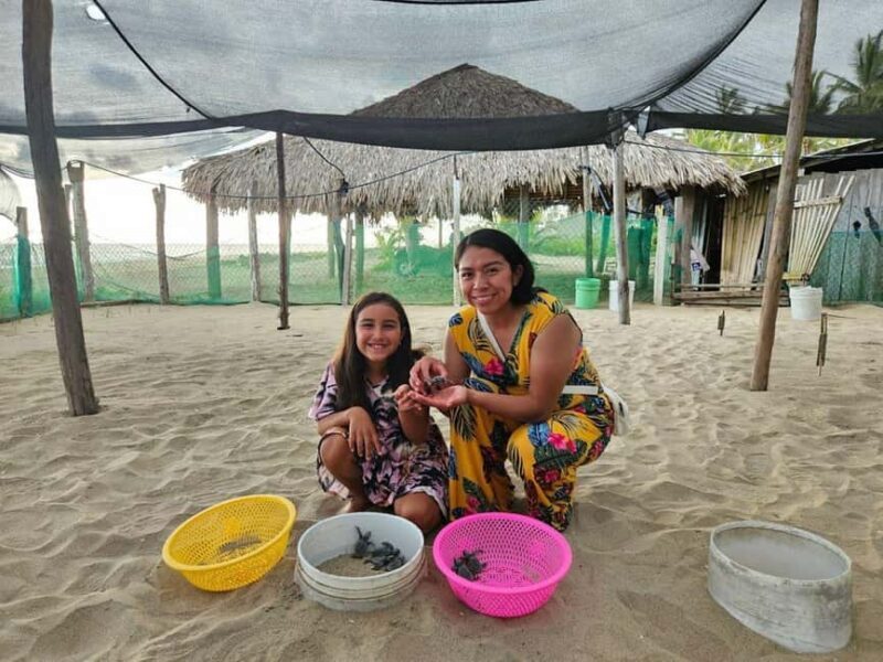 Zihuatanejo: Turtle Release Experience at Playa Blanca - Key Points