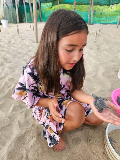 Zihuatanejo: Turtle Release Experience at Playa Blanca - An In-Depth Look at the Turtle Release Experience