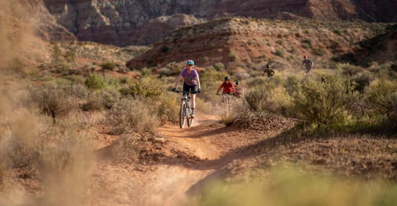 Zion: Guided Half Day Mountain Bike Tour - What to Expect from the Zion Mountain Bike Tour
