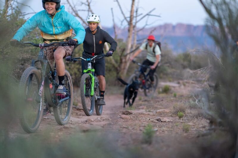Zion: Guided Half Day Mountain Bike Tour - Who Should Consider This Tour?