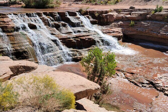 Zion Hummer Tour to Zion Waterfall with swimming - Final Thoughts