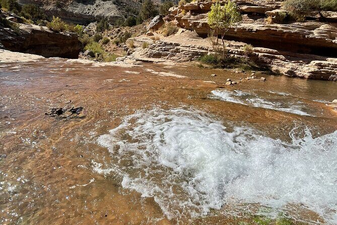 Zion Hummer Tour to Zion Waterfall with swimming - Additional Information