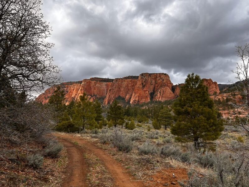 Zion National Park 5-hour Tour: Hike and Drive - An In-Depth Look at the Zion 5-Hour Hike and Drive Tour