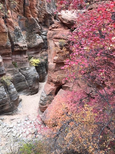 Zion National Park 5-hour Tour: Hike and Drive - Who Should Consider This Tour?