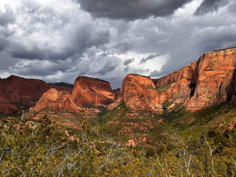 Zion National Park 5-hour Tour: Hike and Drive - Final Thoughts