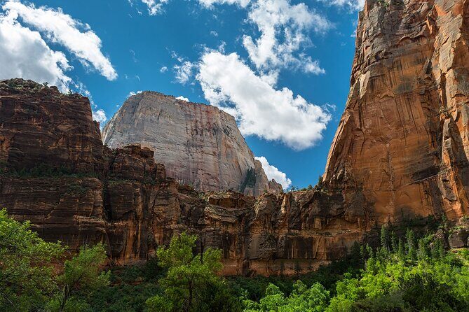 Zion National Park by Tour Trekker - What Past Travelers Say