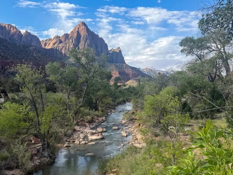 Zion National Park: Half-Day Hiking Tour with Guide - A Practical Walkthrough of the Zion Half-Day Experience