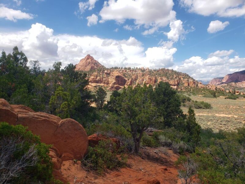 Zion National Park - Kolob Terrace: 1/2 Day Sightseeing Tour - Who Will Love This Experience?