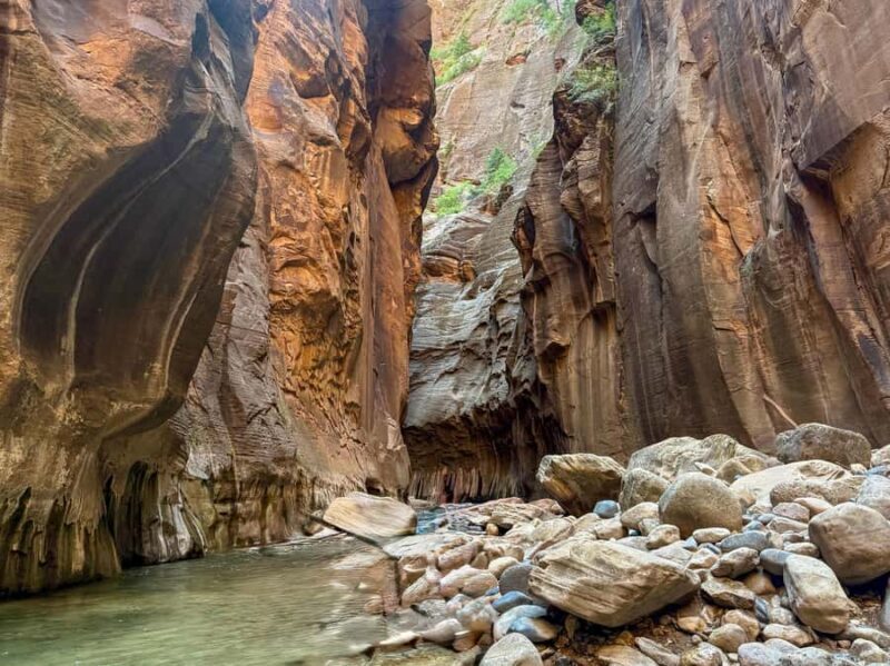 Zion National Park: The Narrows Private Guided Hike - Who Will Love This Tour?