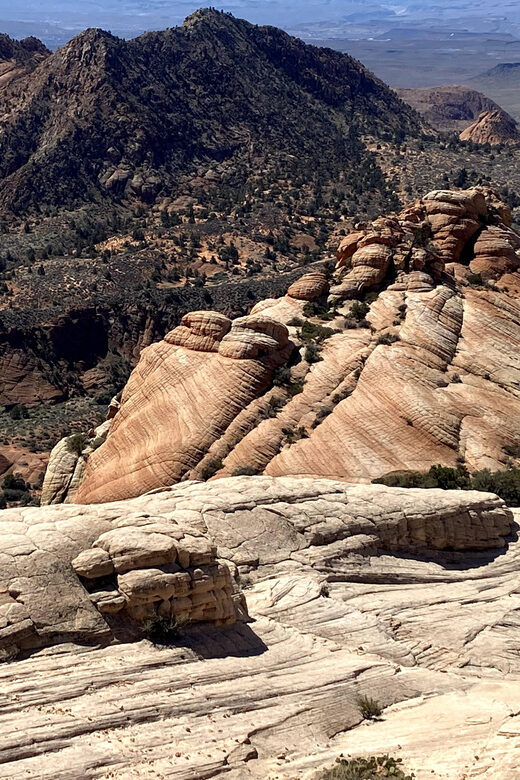 Zion National Park: Yoga & Hiking Tour - Frequently Asked Questions
