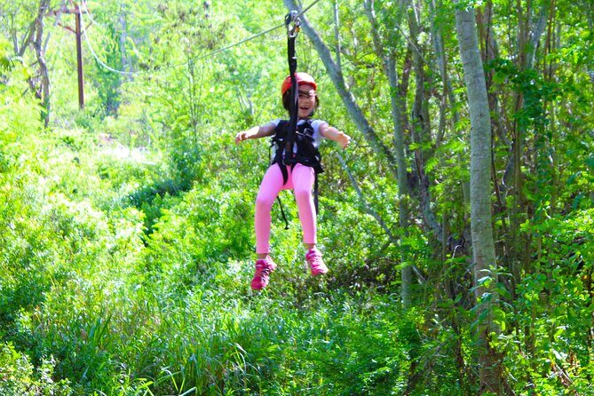 Zip and Dip: 3 Ziplines and Wet n Wild Waterpark - Who Should Consider This Tour?