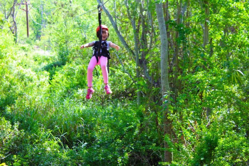 Zip & Dip: 3 Ziplines + Wet 'n' Wild Hawaii Waterpark - Who Is This Tour Best For?