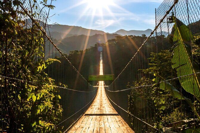 Zip Line, Mules Ride and Walk on the Hanging Bridge - A Detailed Look at the Experience