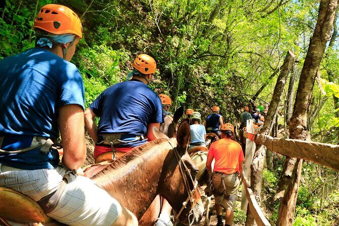 Zip Line, Mules Ride and Walk on the Hanging Bridge - Frequently Asked Questions