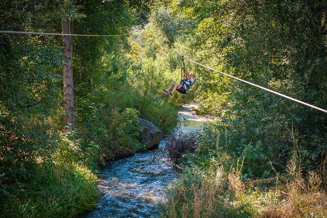 Zip Zoom Ziplines at La Jolla Indian Adventure Park - Who Would Enjoy This Tour?