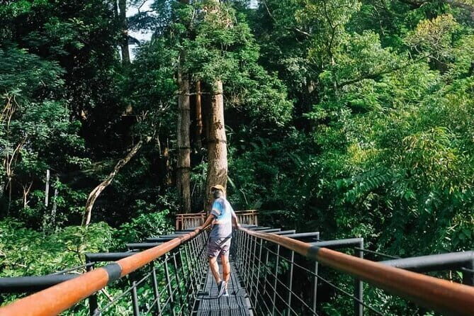 Zipline 10 Platforms at Hanuman World - Authentic Insights from Travelers
