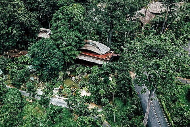 Zipline 18 Platforms at Hanuman World - Who Should Consider This Tour?