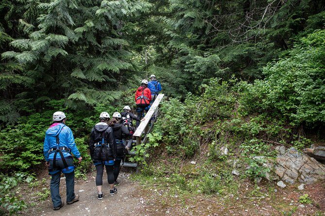 Zipline Adventure in Whistler - Introduction: A Flight Above Whistler’s Wilderness