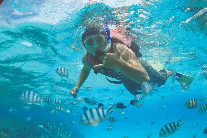 Zipline + Beach Package - The Practicalities