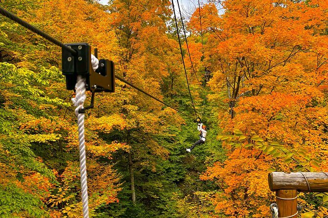 Zipline Canopy Activity Admission at Bristol Mountain - The Scenic and Authentic Experience