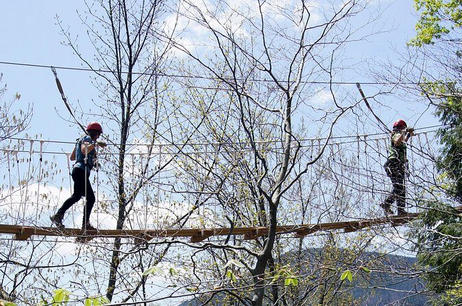 Zipline Canopy Tour- ArborTrek at Smugglers Notch Resort - Who Will Love This Tour?