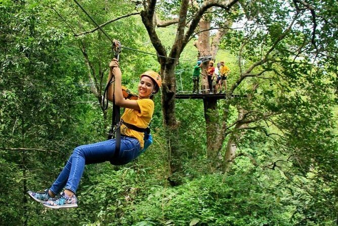 Zipline & Coffee with Waterfall Views in Koh Samui - Key Points