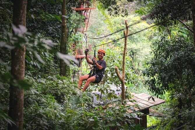 Zipline & Coffee with Waterfall Views in Koh Samui - The Sum Up