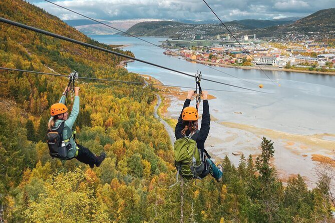 Zipline Experience in Mosjøen - The Itinerary: From Climb to Landing