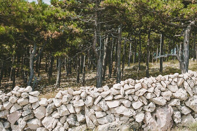 Zipline Experience Krk - The Practical Side: Details and Tips for Travelers