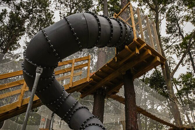 Zipline over the Heysen Trail & Through the Pines of Kuitpo - Key Points