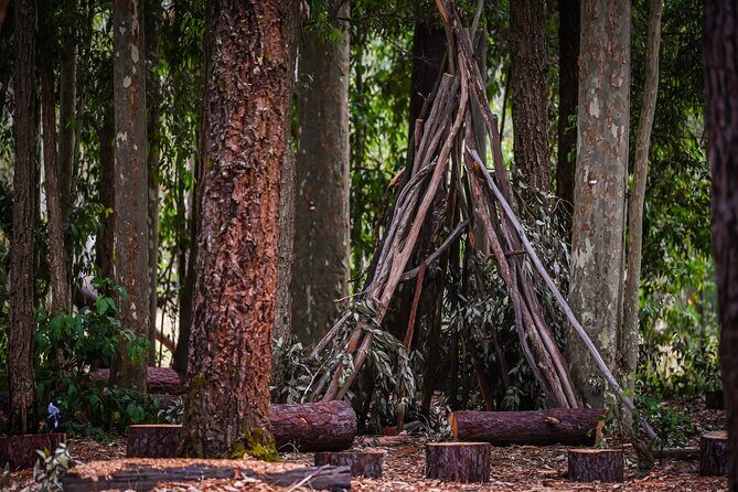 Zipline over the Heysen Trail & Through the Pines of Kuitpo - The Sum Up