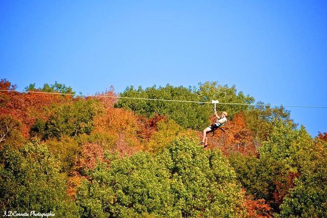 Ziplines over Laurentian Mountains at Mont-Catherine - Why This Tour Offers Great Value