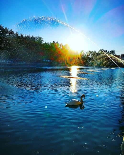 Zlatibor tour - Gold gondola, Stopic cave, Sirogojno & falls - Whats Included and Whats Not