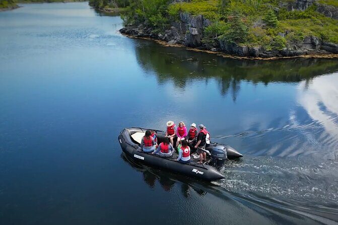 Zodiac Coastal Tour with Naturalist Guide: Lunenburg - An Authentic Look at Nova Scotia’s Coastline