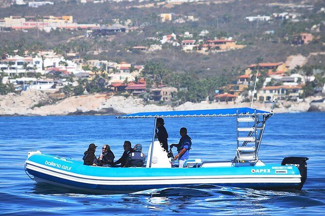 Zodiac Whale Watching Adventure - Incl FREE photos - The Itinerary: What to Expect