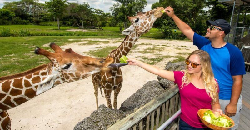 Zoo Miami: General Admission Ticket - Zoo Miami: The Ultimate Day Out for Animal Lovers