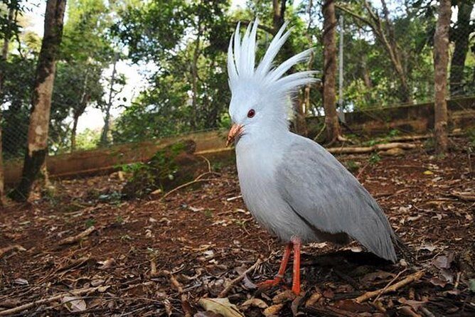 Zoological and Forestry Park Admission Ticket - Key Points