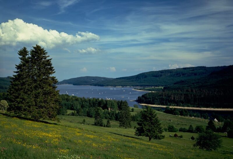 Zurich: Black Forest, Titisee, and Rhine Falls Bus Day Trip - Final Thoughts: Is This Tour Worth It?