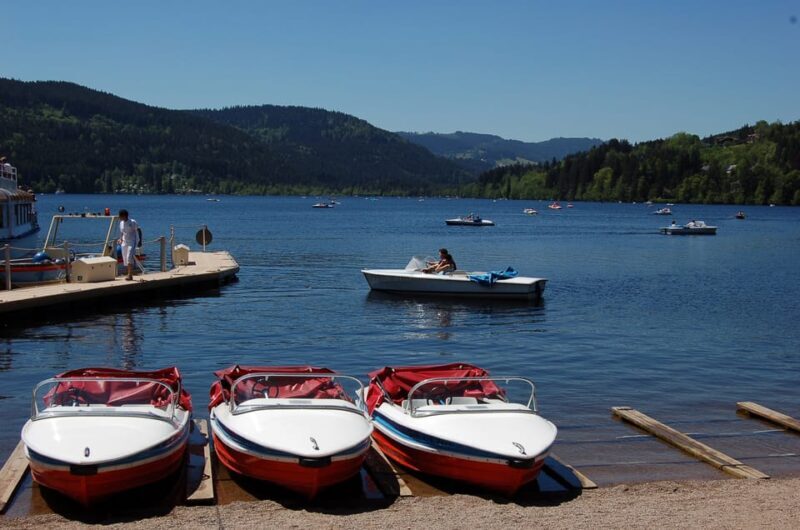 Zurich: Black Forest, Titisee, and Rhine Falls Bus Day Trip - FAQ