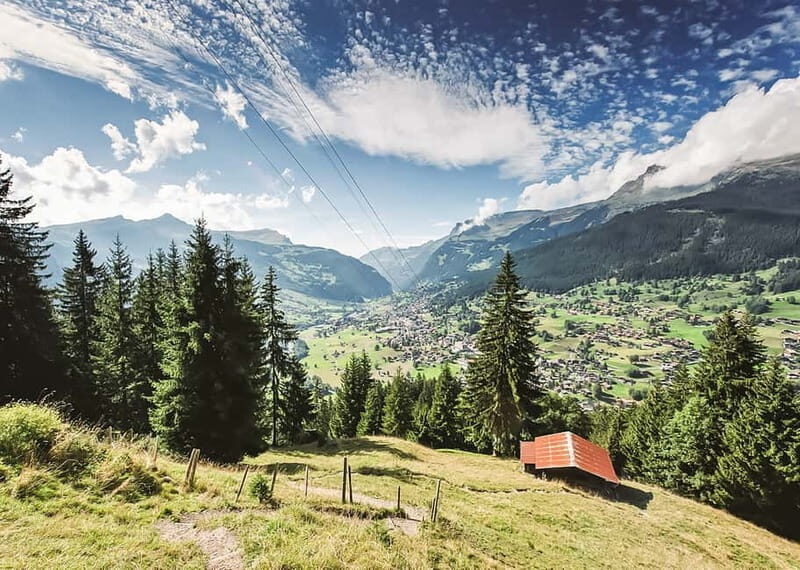 Zurich: Day Trip to Grindelwald, Interlaken & Lauterbrunnen - The Sum Up