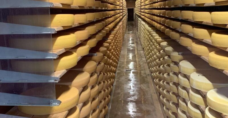 Zurich: Gruyères Castle, Cheese, Chocolate Private Day Tour - Who Will Love This Tour?