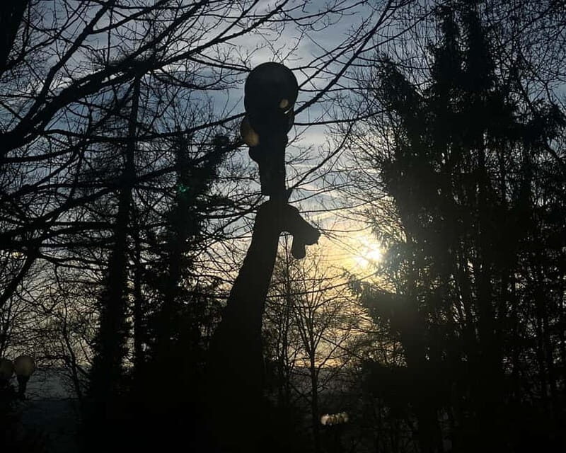 Zurich: Hike Up Zurich's Viewpoint & Enjoy Outdoor Raclette - Who Should Consider This Tour?