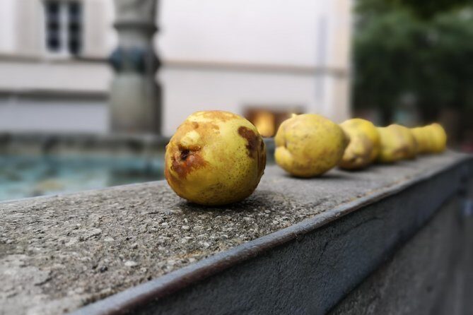 Zürich Historic District Tour - Why This Tour Works for You